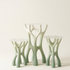 Mangrove Coffee Table